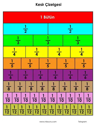 3. Sınıf Matematik – Renkli-Renksiz Kesir Çizelgesi