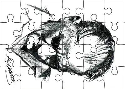 Atatürk Yapboz Etkinliği – 12, 24, 48 ve 96 Parçalı Set