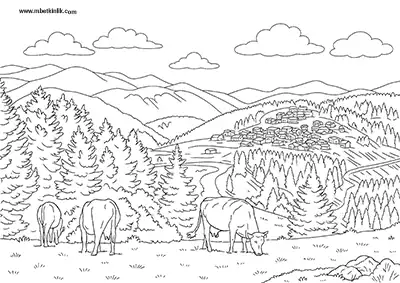 Giresun Kümbet Yaylası Boyama Sayfası