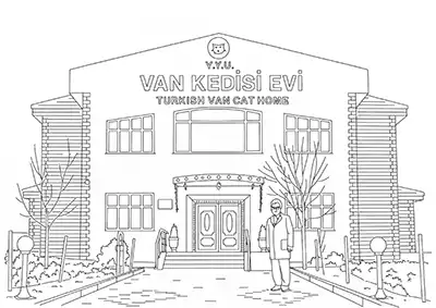 Van Kedisi Evi Boyama Sayfası