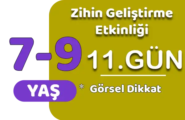 Zihin Geliştirme – Görsel Ayırt Etme ve Grafik Yorumlama Etkinliği (11. Gün)