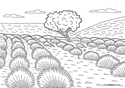 Isparta Kuyucak Lavanta Köyü Boyama Sayfası