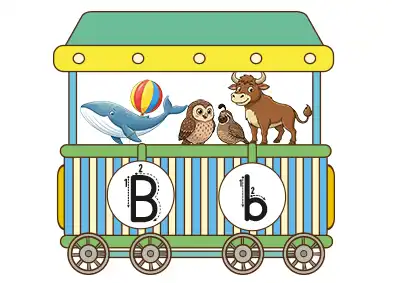 1. Sınıf İlk Okuma Alfabe Treni 20. Vagon - B Sesi