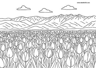 Muş Laleleri Boyama Sayfası