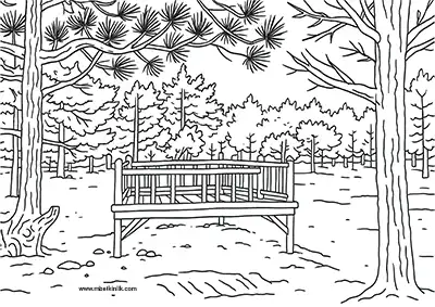 Karaman Gökçe Çamlığı Mesire Alanı Boyama Sayfası