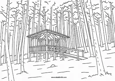 Ardahan Cemal Tural Tabiat Parkı Boyama Sayfası