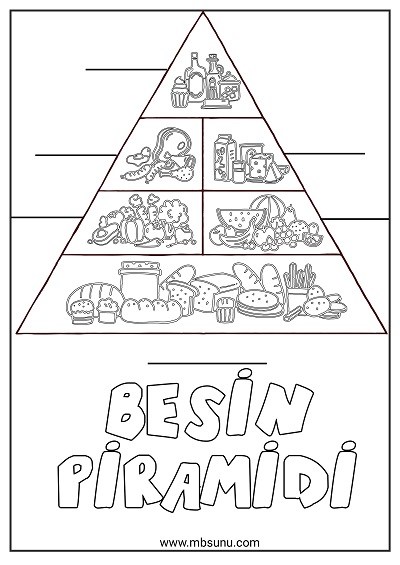 4. Sınıf Fen Bilimleri – Besin Piramidi Boyama Sayfası