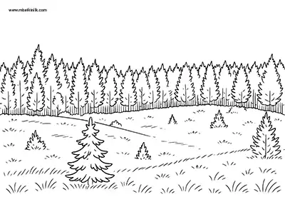 Ardahan Kent Ormanı Boyama Sayfası