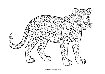 Gizemli Benekli Leopar Boyama Sayfası