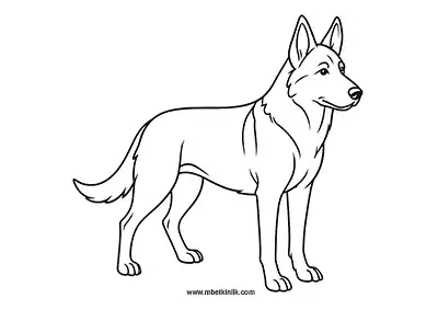 Güçlü Alman Kurdu Köpek Boyama Sayfası