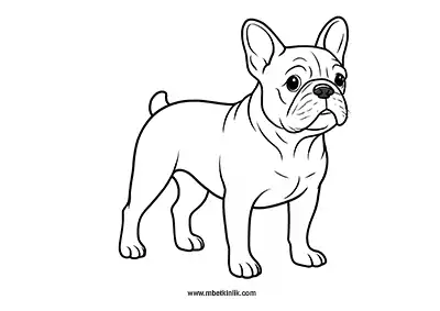Sevimli Fransız Bulldog Köpek Boyama Sayfası