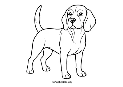 Neşeli Beagle Köpek Boyama Sayfası