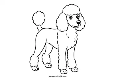 Zarif Bukleli Poodle Köpek Boyama Sayfası