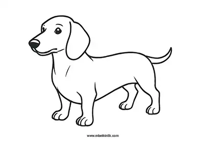 Sevimli Sosis Köpek (Dachshund) Boyama Sayfası