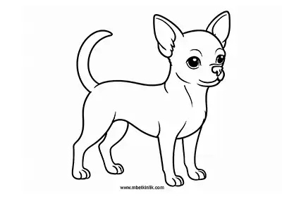 Minik Chihuahua Köpek Boyama Sayfası
