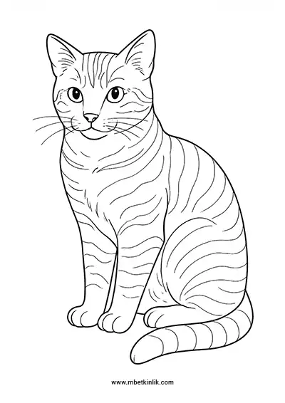 Tekir Kedi Boyama Sayfası