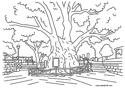 Hatay Musa Ağacı Boyama Sayfası