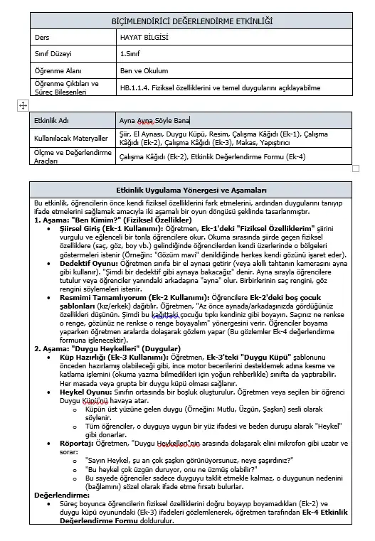 1. Sınıf Hayat Bilgisi - HB.1.1.4 Nasıl Görünüyor, Nasıl Hissediyorum Biçimlendirici Süreç Değerlendirme Etkinliği
