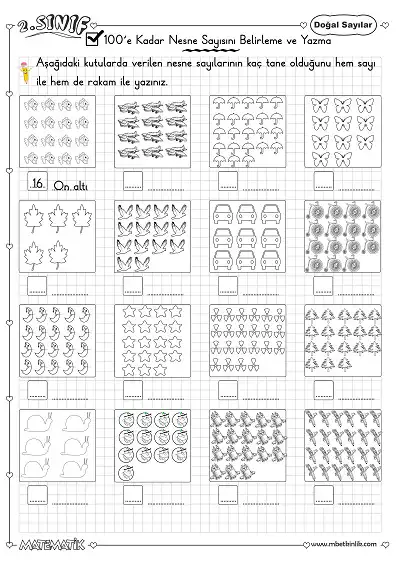 2. Sınıf Matematik Nesne Sayılarını Belirleme Etkinliği 1