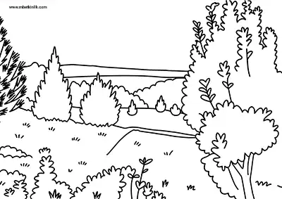 Afyonkarahisar Kent Ormanı Boyama Sayfası