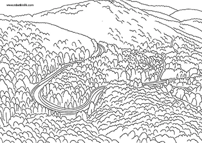 Afyonkarahisar Domaniç Ormanları Boyama Sayfası