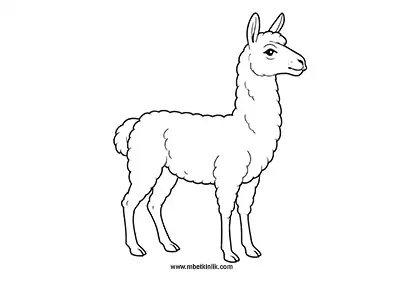 Lama Boyama Sayfası