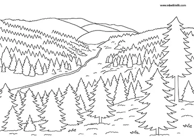 Bilecik Kömürsu Yaylası Boyama Sayfası