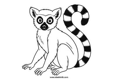 Lemur Boyama Sayfası
