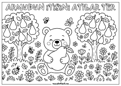 Armudun İyisini Ayılar Yer - Atasözü Boyama Sayfası