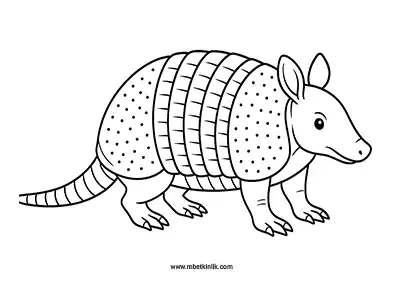 Armadillo Boyama Sayfası