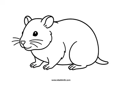 Hamster Boyama Sayfası