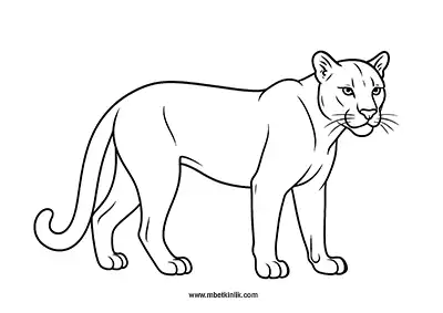 Puma Boyama Sayfası