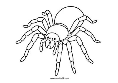 Tarantula Boyama Sayfası