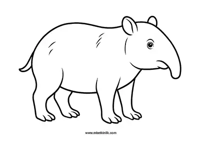Tapir Boyama Sayfası