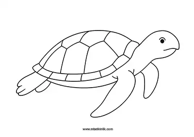 Su Kaplumbağası (Caretta Caretta) Boyama Sayfası