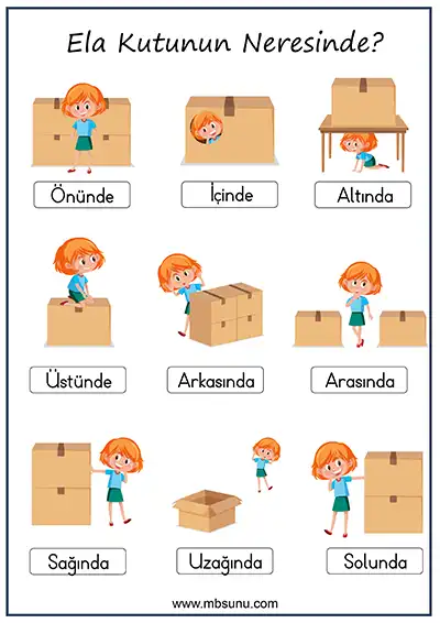 1. Sınıf Matematik Uzamsal İlişkiler A3 Poster - Ela Kutunun Neresinde?