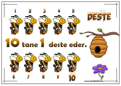 2. Sınıf Matematik – Arılı Deste Kavramı Afişi