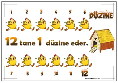 2. Sınıf Matematik – Tavuklu Düzine Kavramı Afişi
