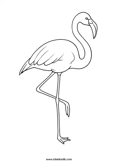 Flamingo Boyama Sayfası