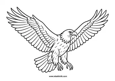 Kartal Boyama Sayfası