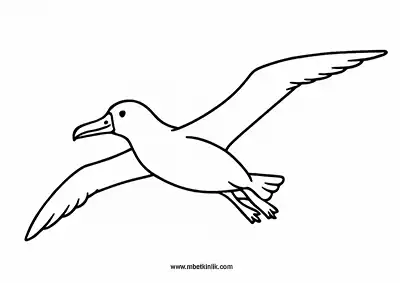 Albatros Kuşu Boyama Sayfası