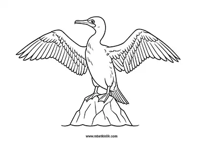 Karabatak Boyama Sayfası